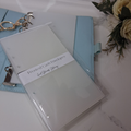 Frosted Cash Envelopes